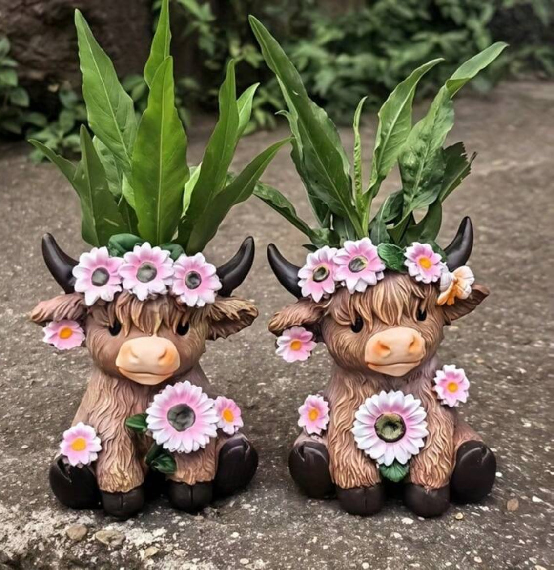 2pc Highland Cow 🐮 plant Pots ￼