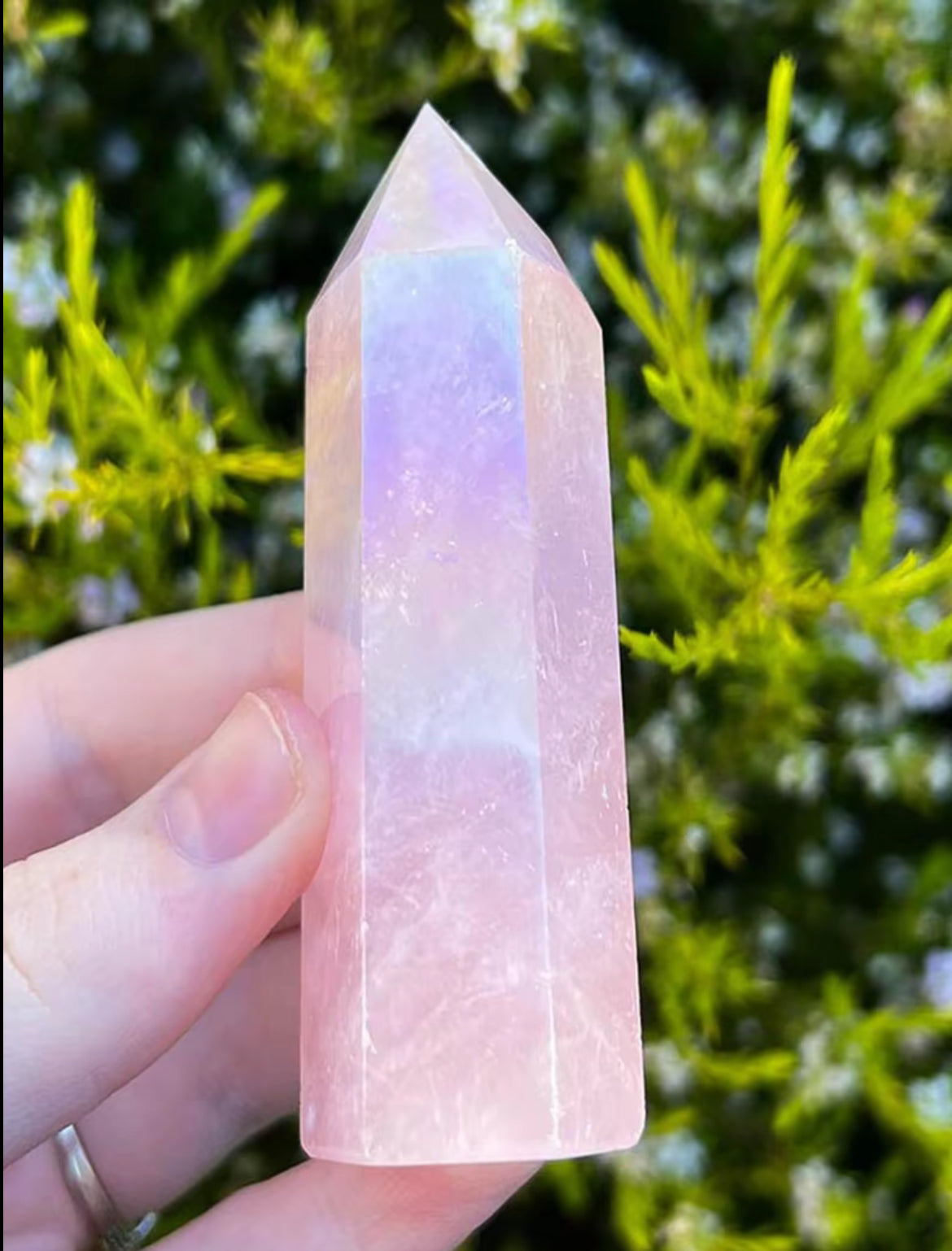 Rose Quartz Crystal