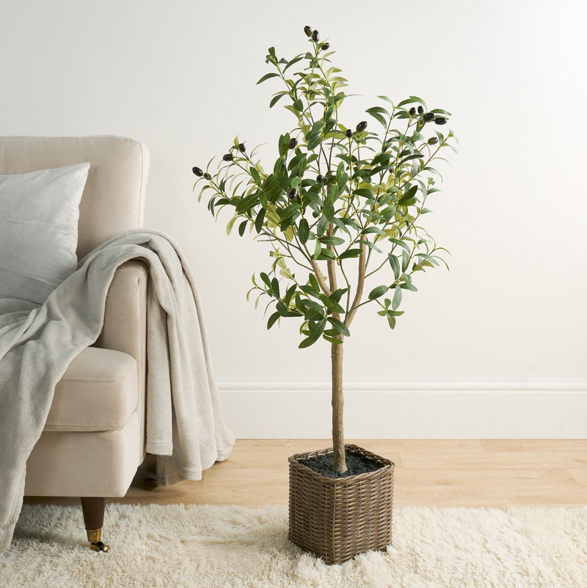 Olive Tree in Basket, Green - 110cm
